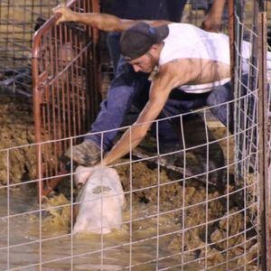 Meet your Posher, Skyler